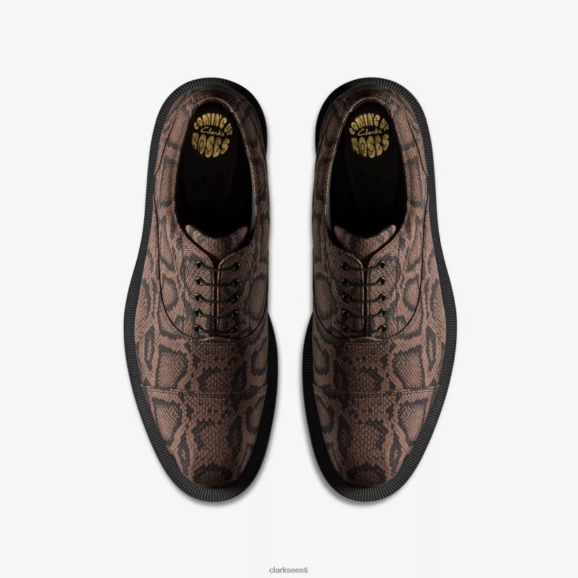 XFL6JJ203 pruun tekstiil Clarks naiste martine roos oxford 2