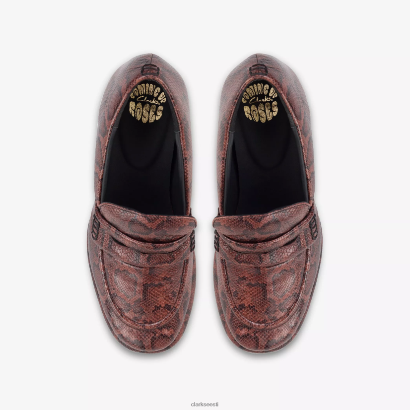 XFL6JJ245 pruun madu Clarks martine rose naiste päts 1